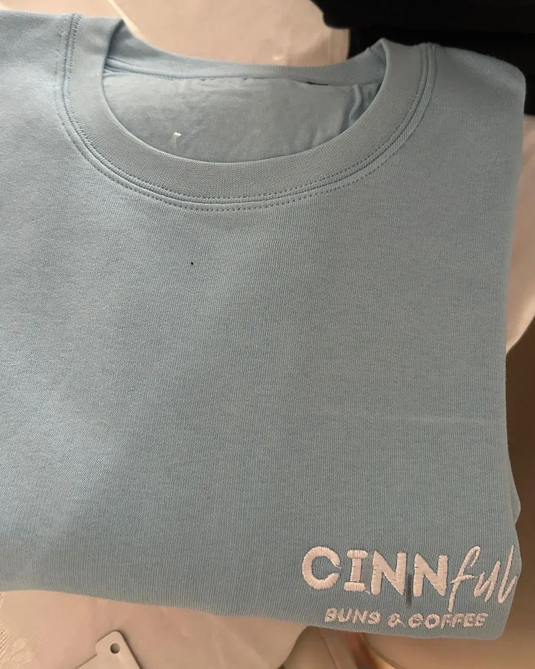 Hellblaues Sweatshirt mit Ton in Ton gestickter Wortmarke auf der Brust